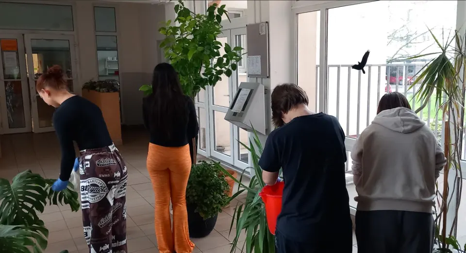 Estetizácia prostredia v ŠI - jarná údržba kvetinovej výzdoby vo vestibule