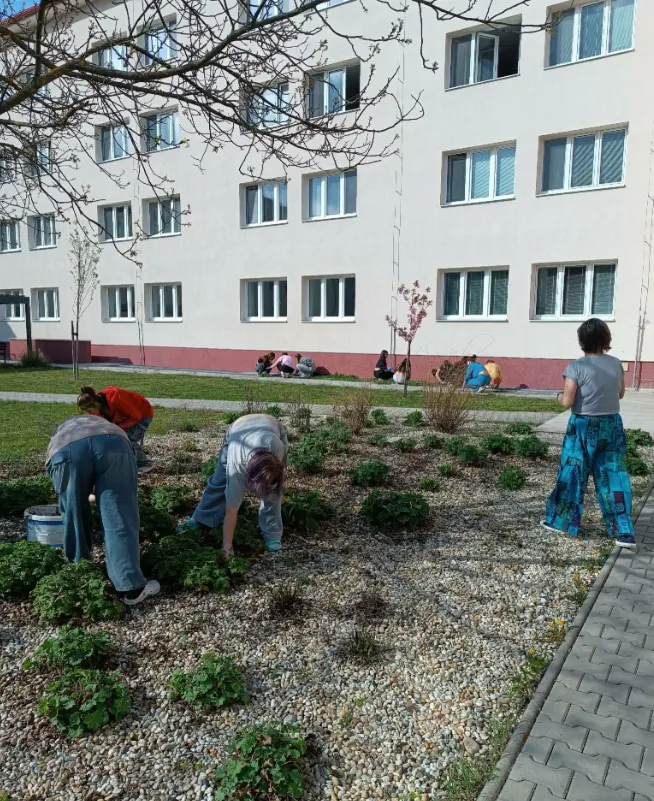 Jarné upratovanie vo dvore ŠI