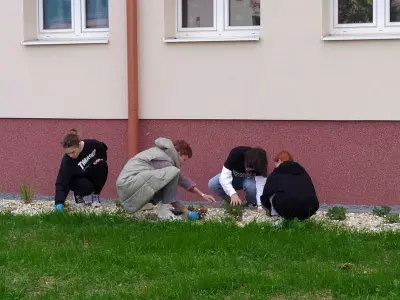 Trhanie buriny vo dvore ŠI – fotografia 1