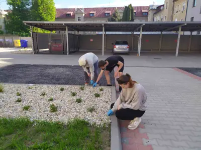 Trhanie buriny vo dvore ŠI – fotografia 2